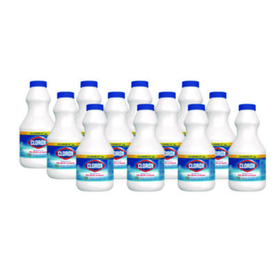 Concentrated Regular Disinfecting Bleach, 24 oz Bottle, 12/Carton